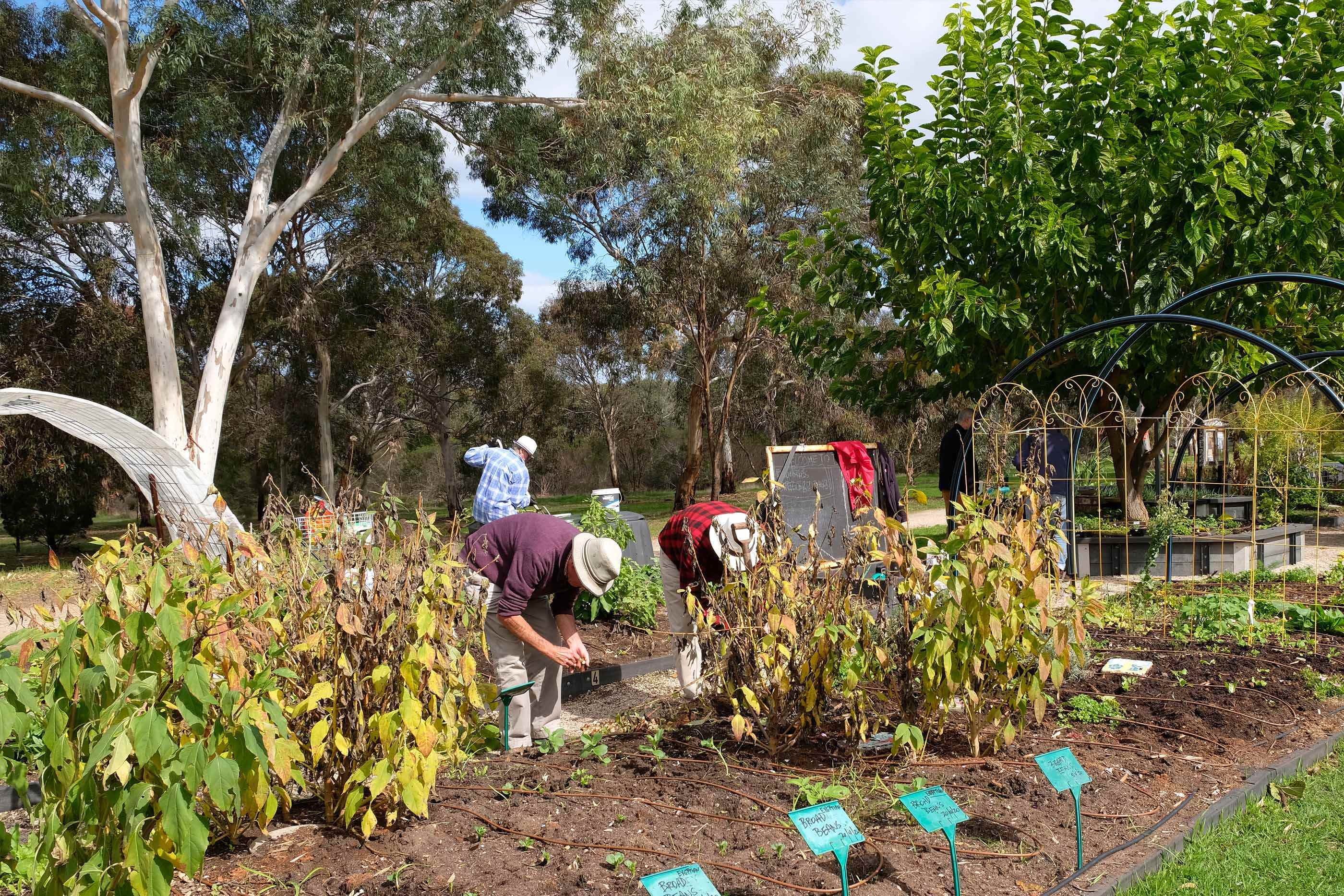 Hard at work in the garden