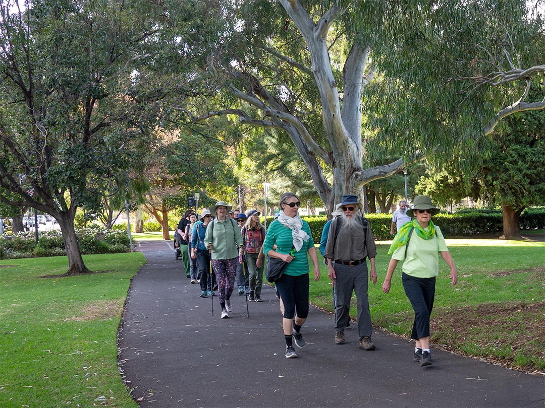 Adelaide loop collective