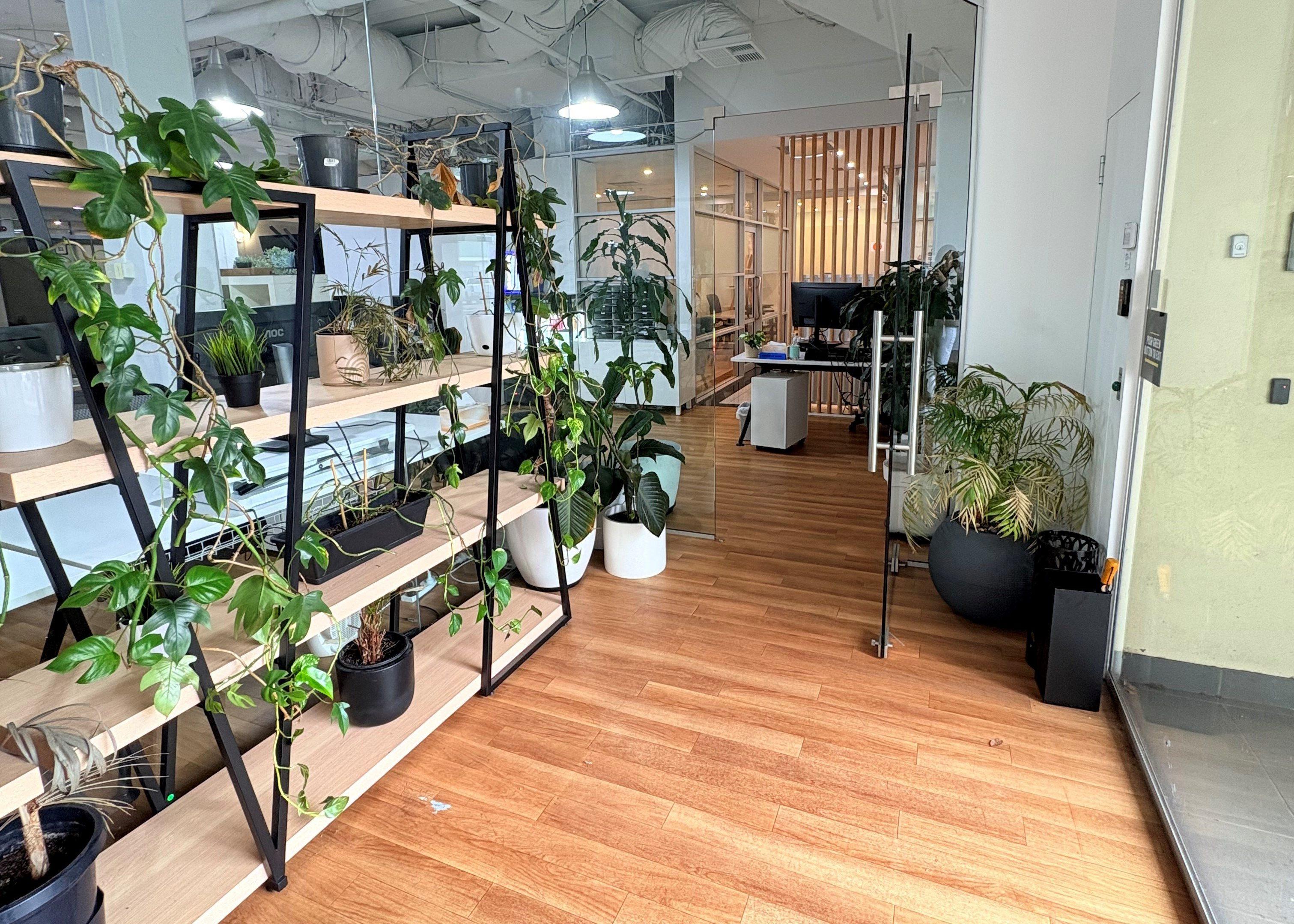 Entry area