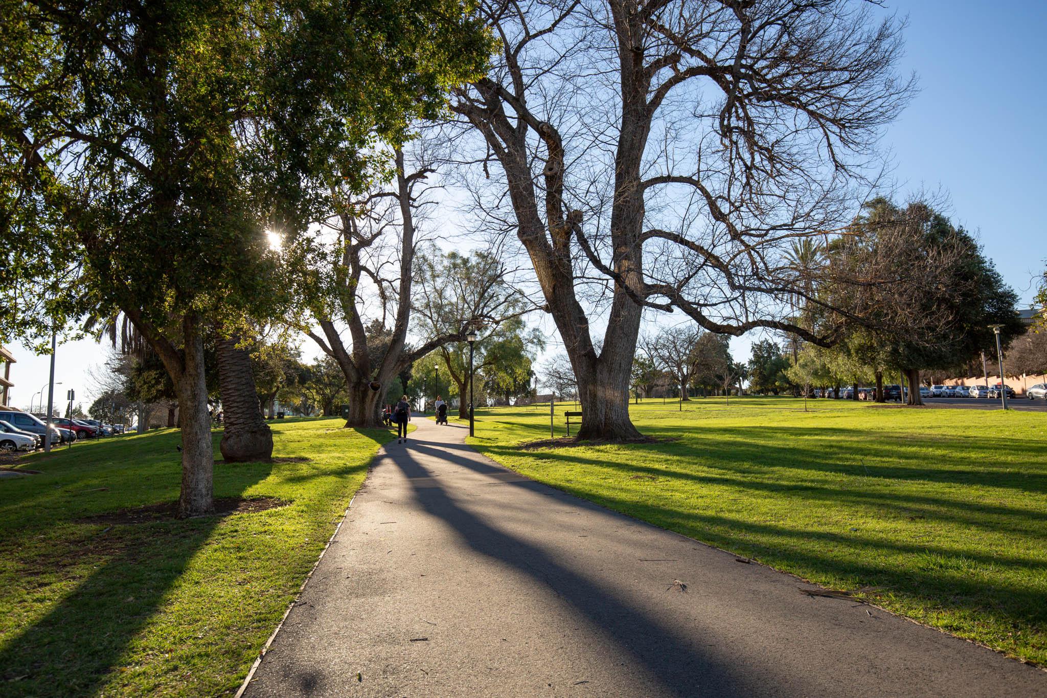 Palmer Gardens / Pangki Pangki (Park 28) City of Adelaide