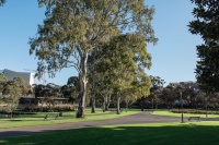 Elder Park Walking Trail