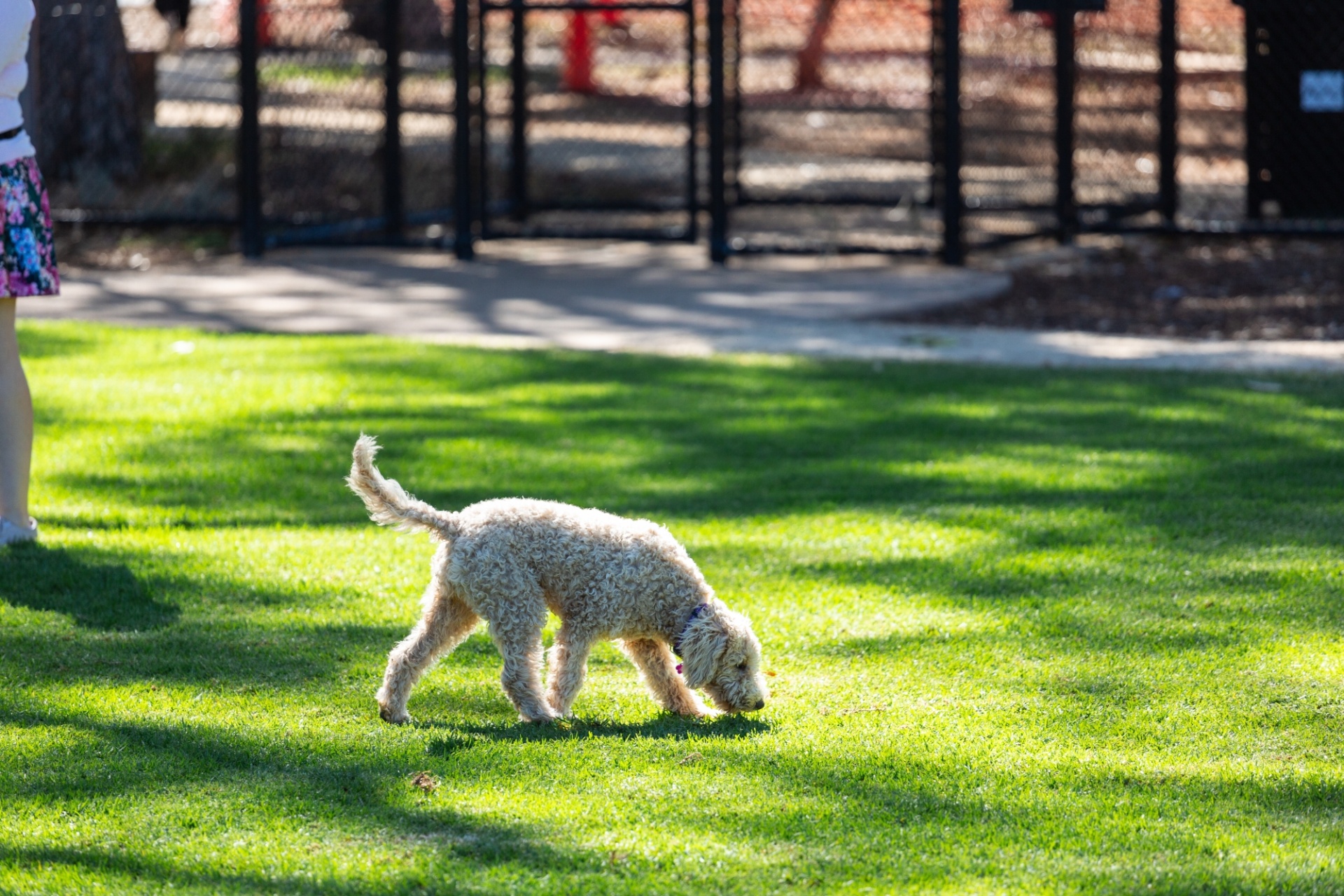 Mary Lee Park (Park 27B) | City of Adelaide