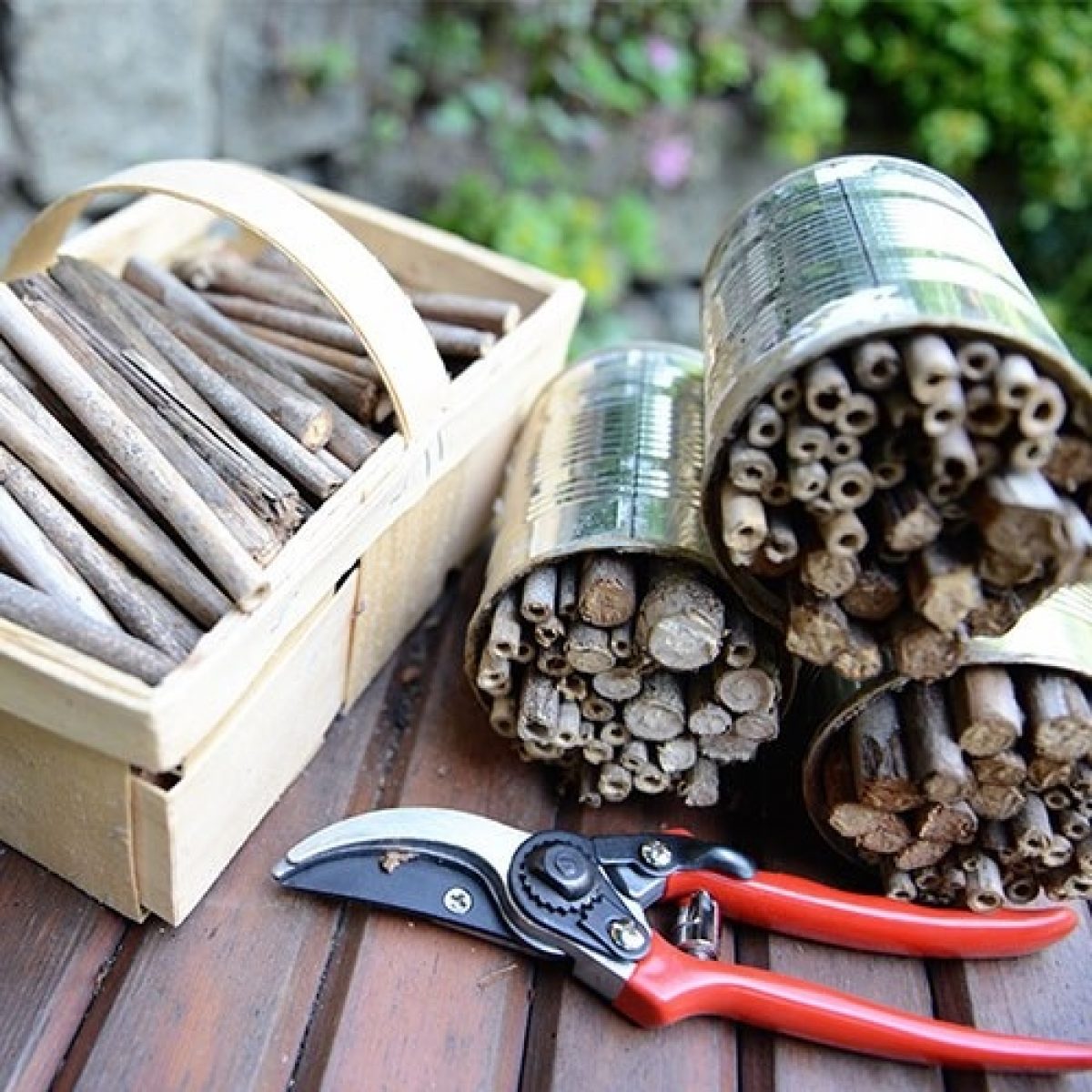 Tools to build an insect hotel for native bees 500x500