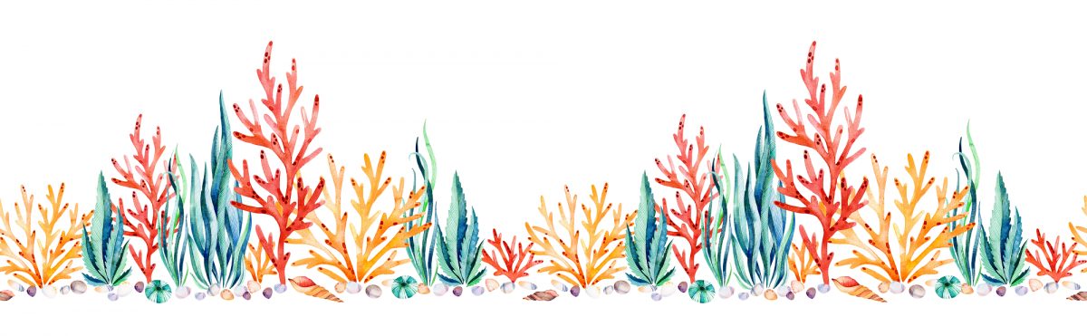 Coral line