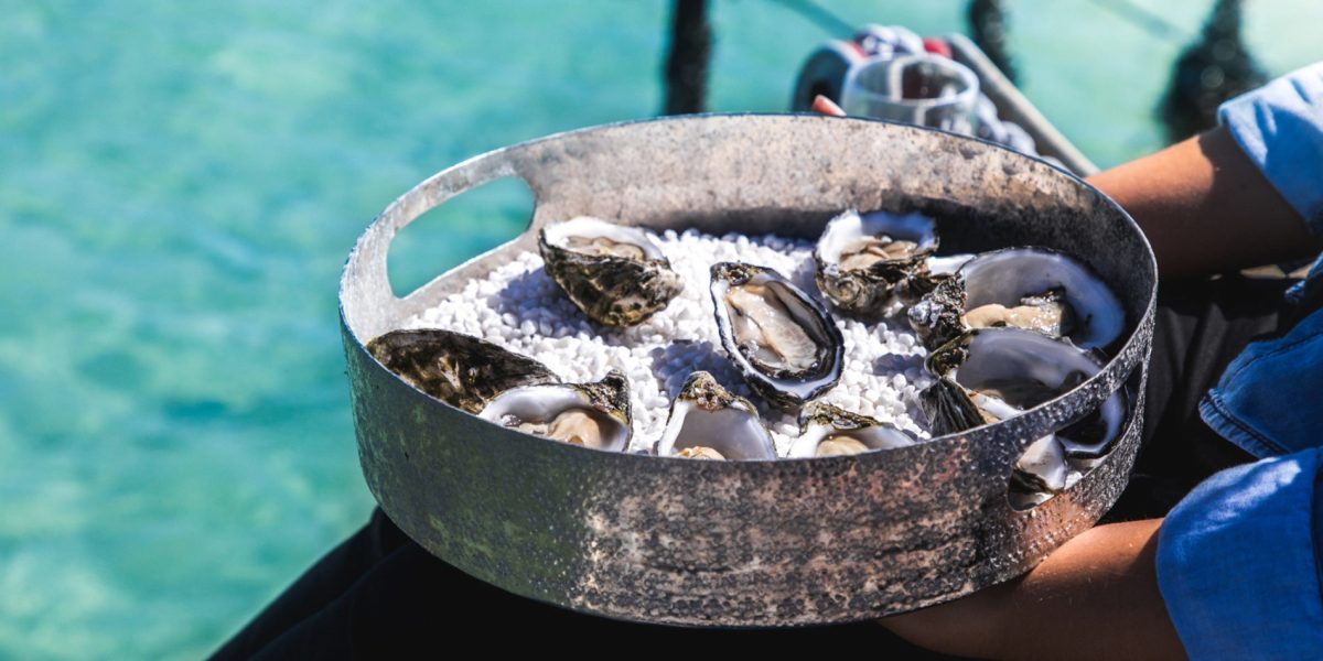 Oysters in South Australia