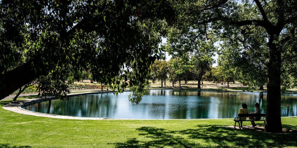 Rymill Park on the East Park Lands