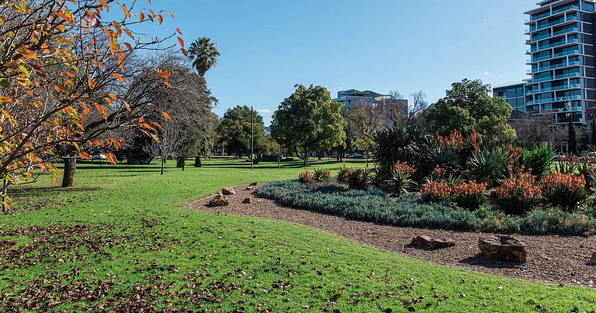Peppermint_Park-Wita-Wirra.jpg
