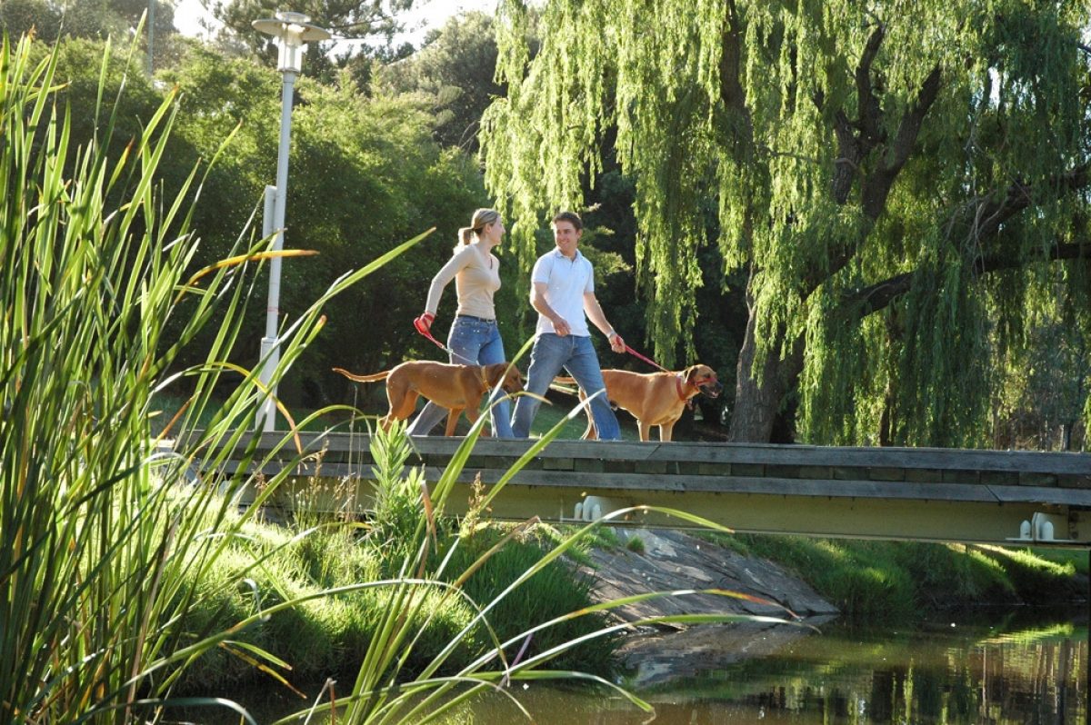 Walking parklands