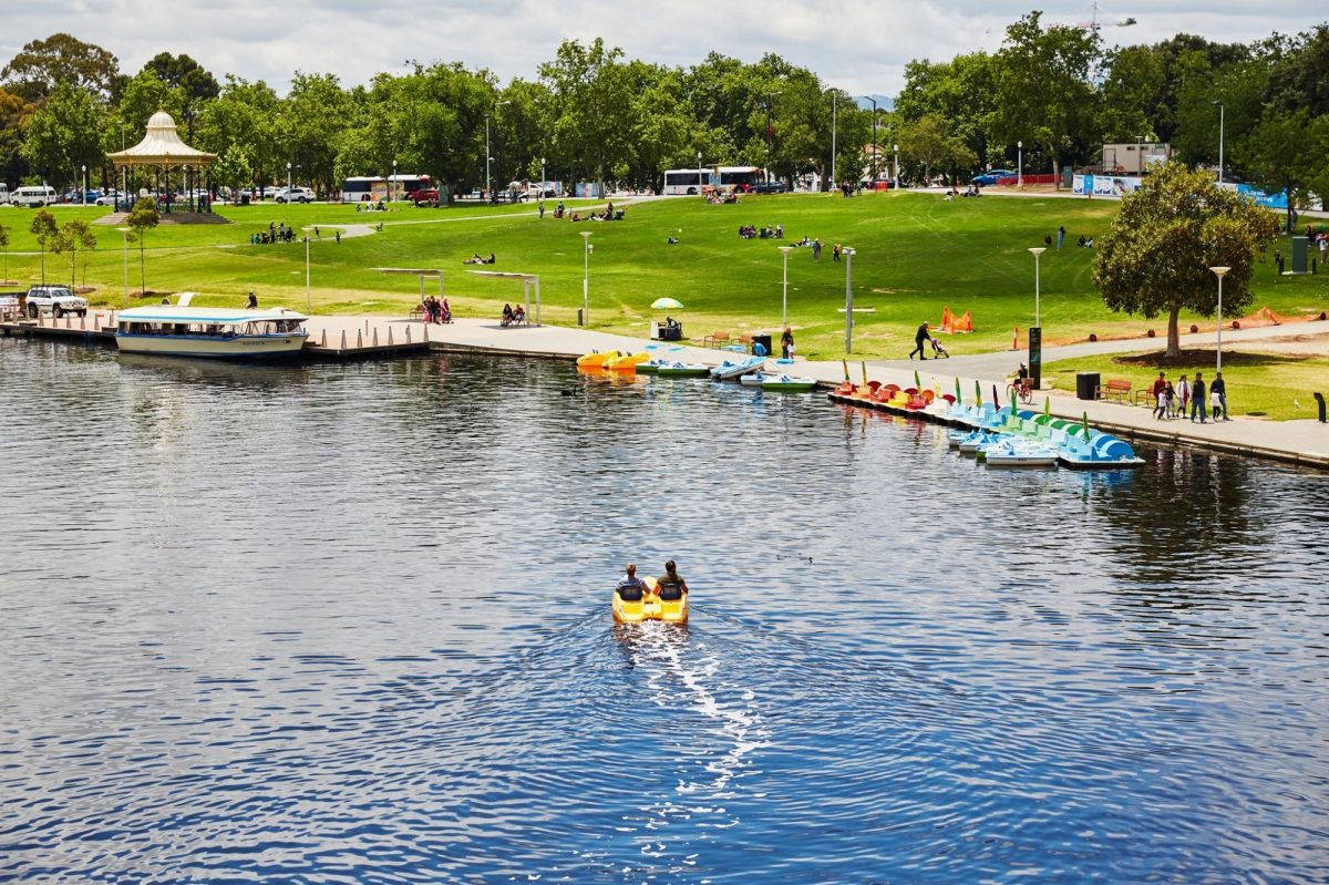 Paddle boats