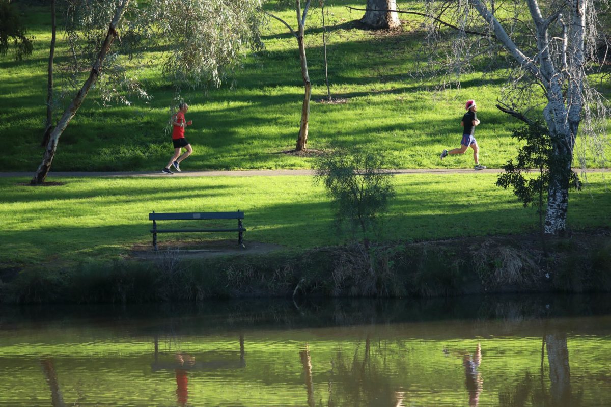 P27 Parkrun 17 test web photos