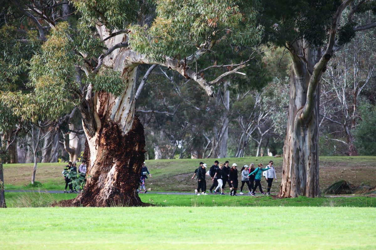 People walking parklands