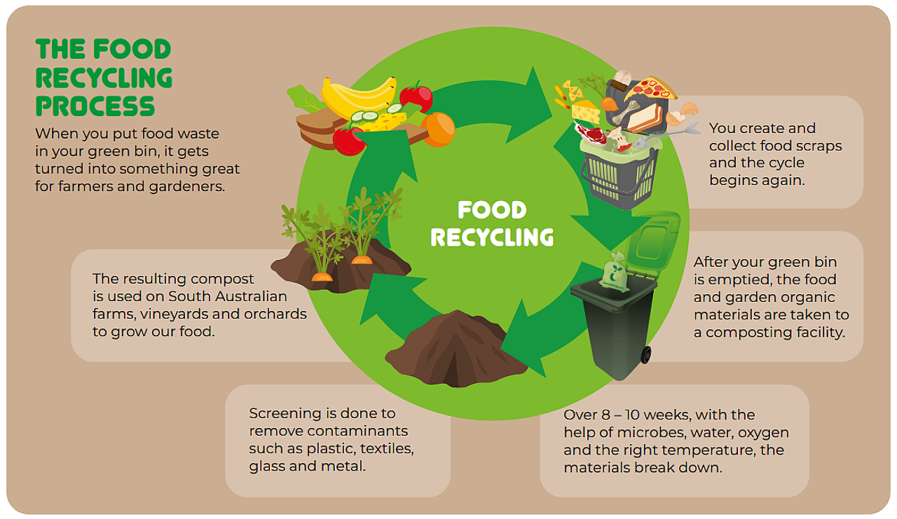 Organics recycling process