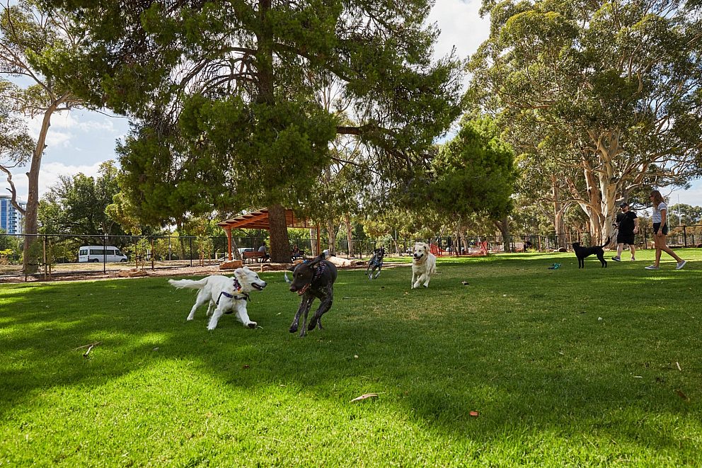 Adelaide dog parks City of Adelaide