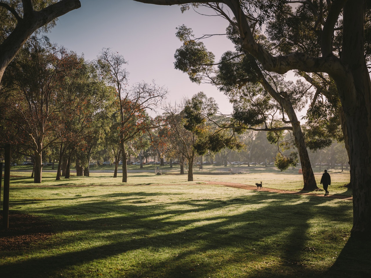 Experience Adelaide Adelaide Park Lands