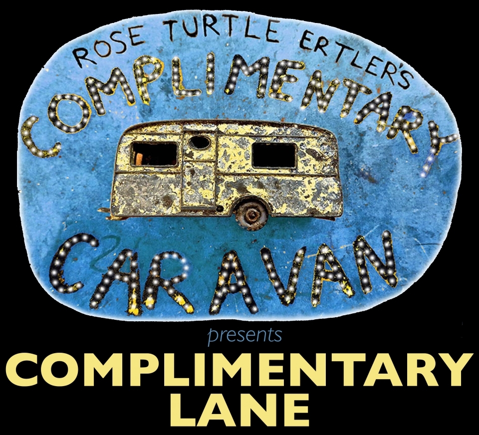Artpod rose turtle ertler