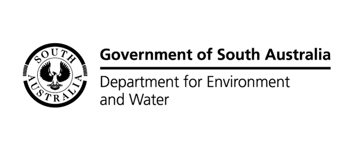 Dew logo black