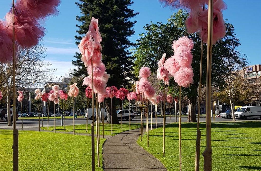 Hindmarsh square pink flower installation