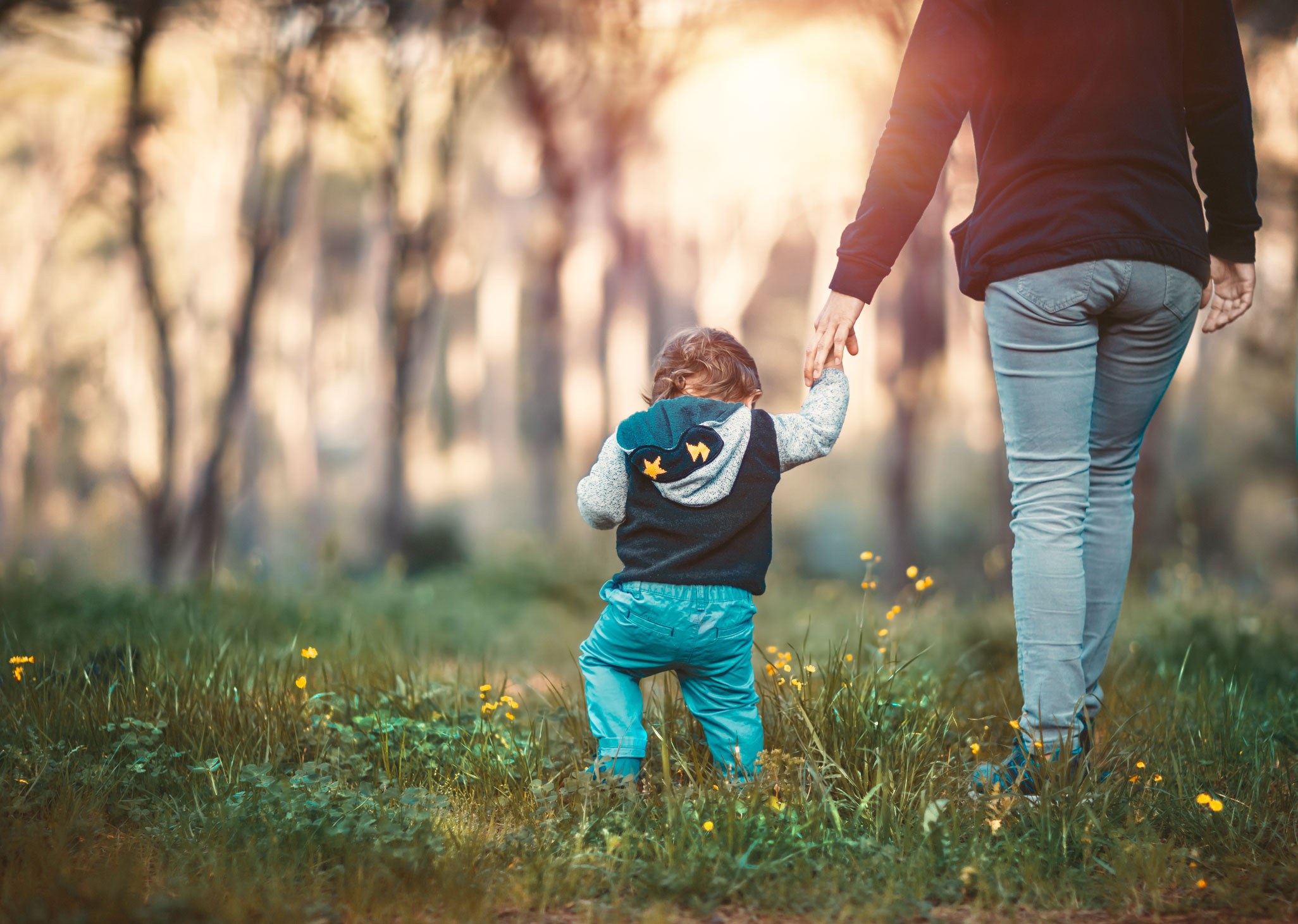 Experience Adelaide Environmental education trail in Wirrarninthi