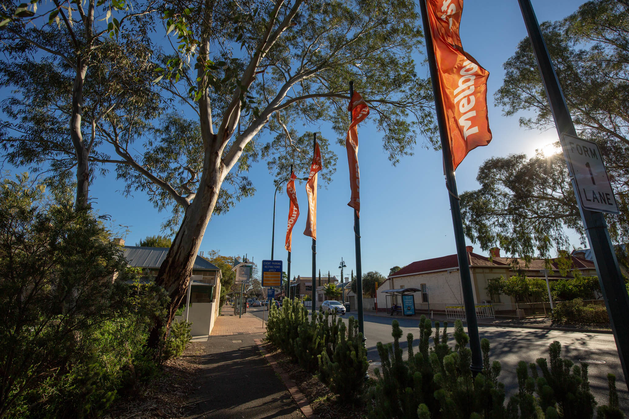 Flags Banners City Of Adelaide