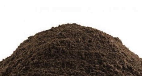 Parklands special soil