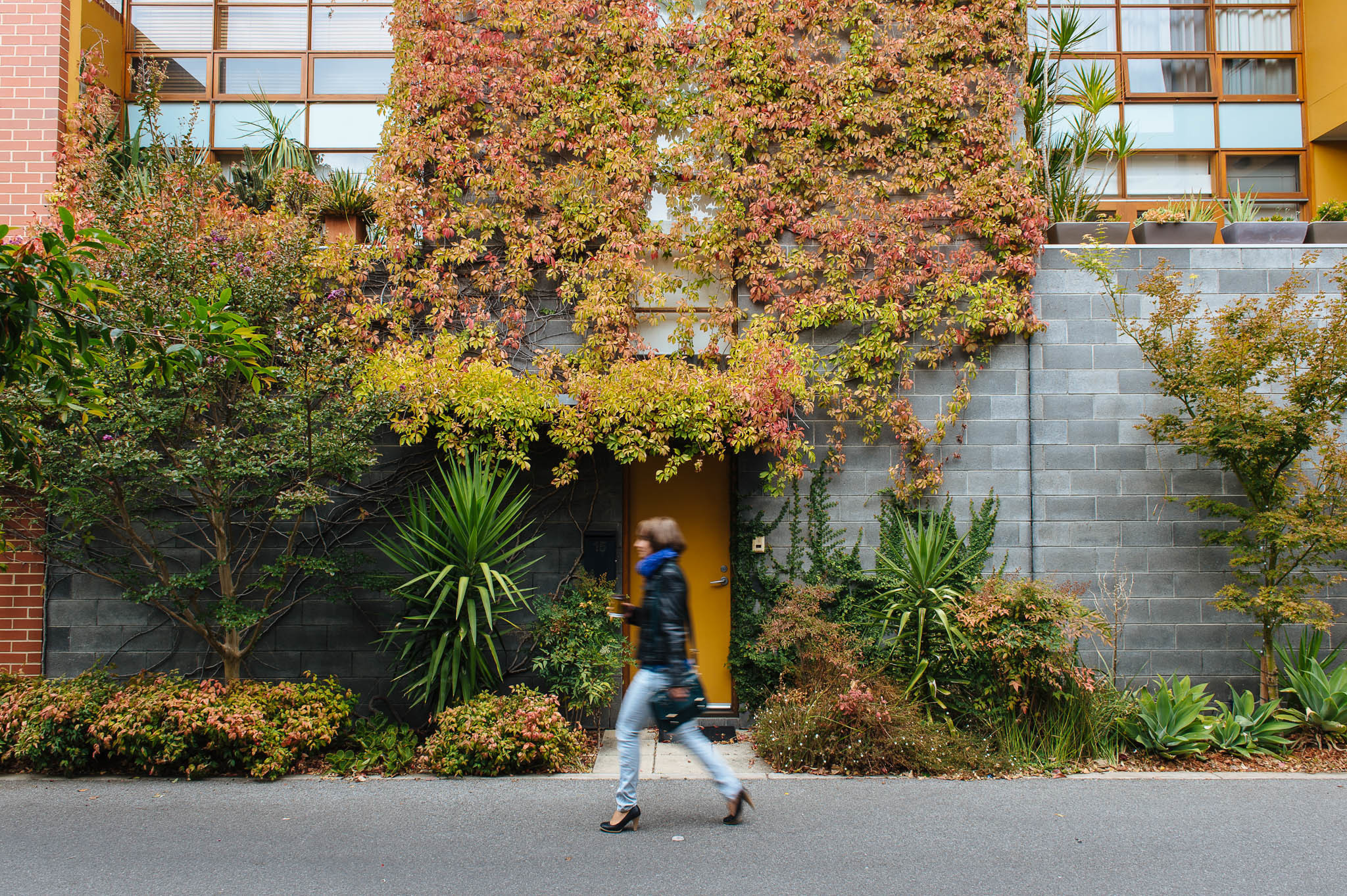 Greening our city City of Adelaide