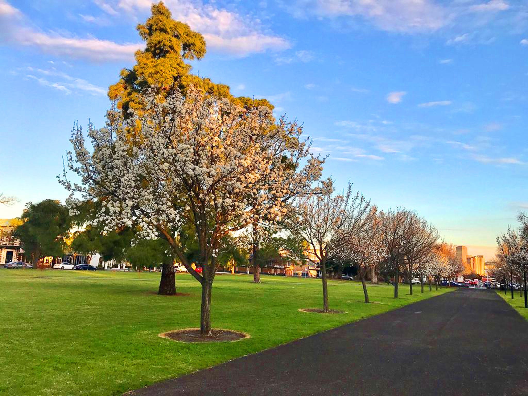 Wellington Square / Kudnartu City of Adelaide