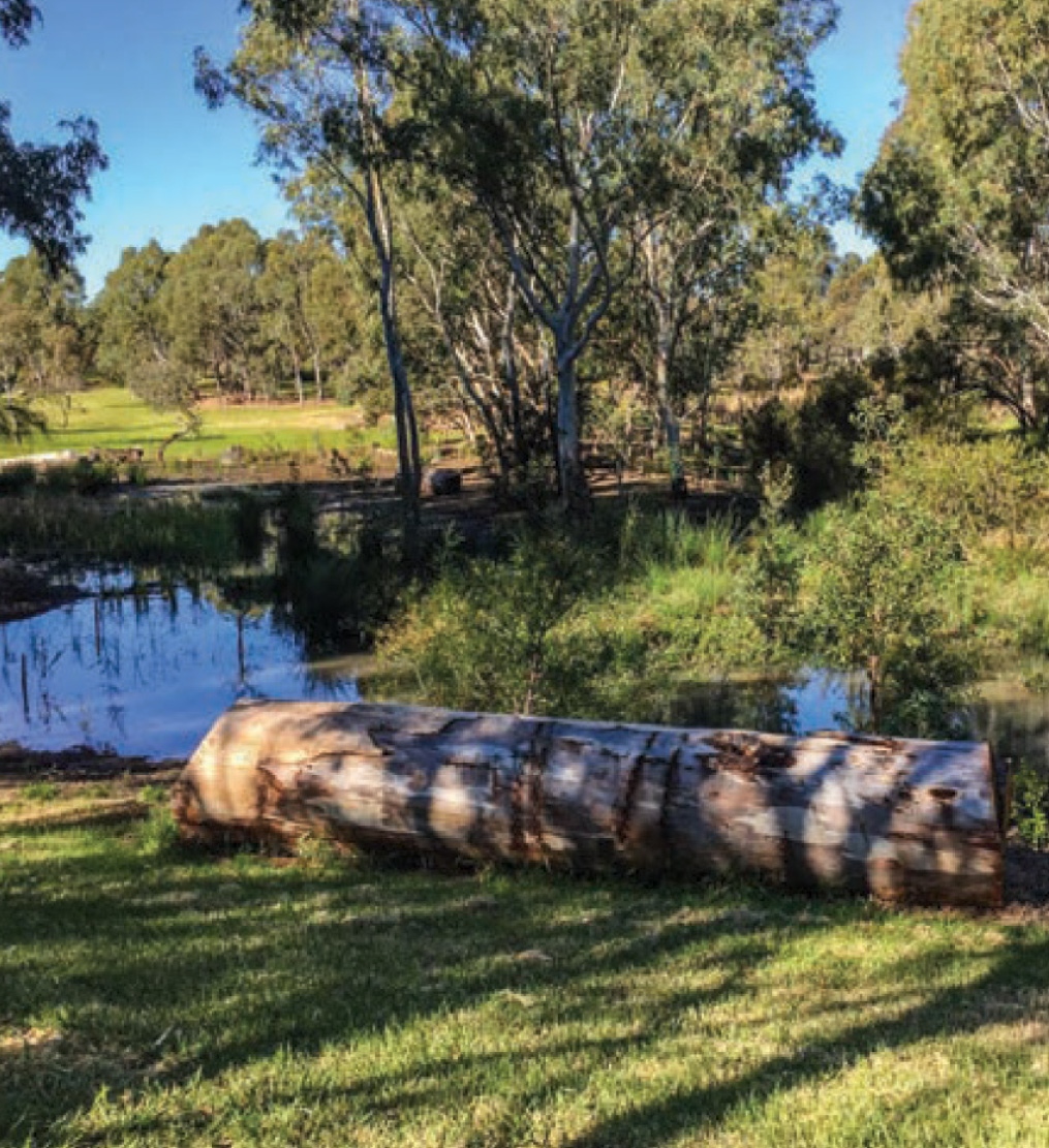 Experience Adelaide Environmental education trail in Wirrarninthi