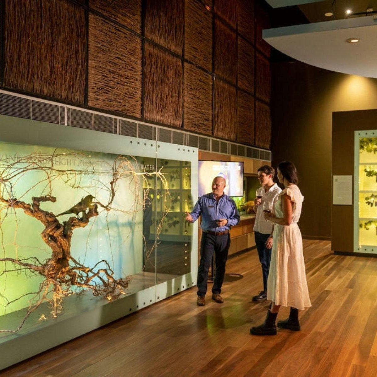 National wine centre australia