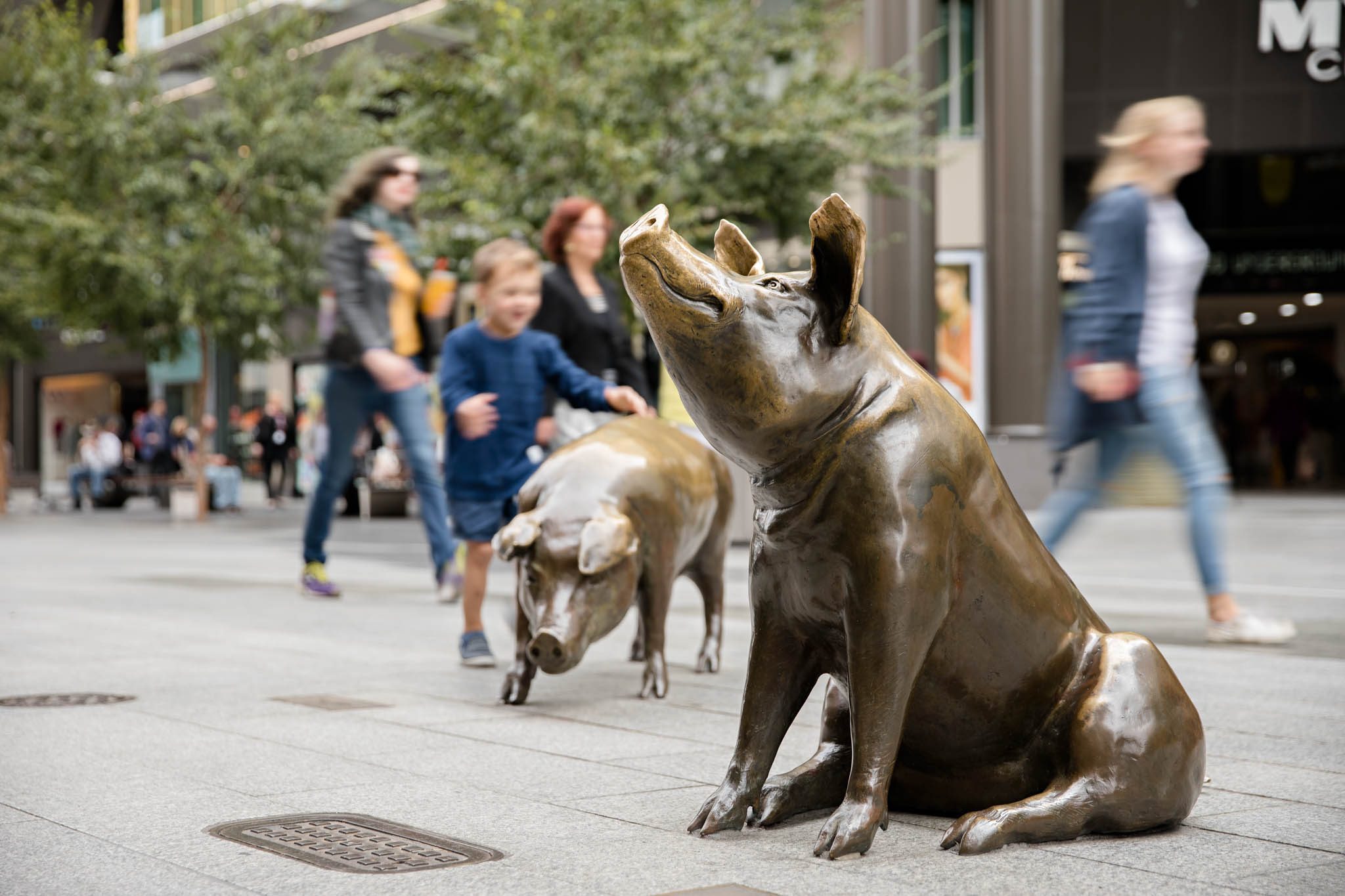 Experience Adelaide Art in Adelaide