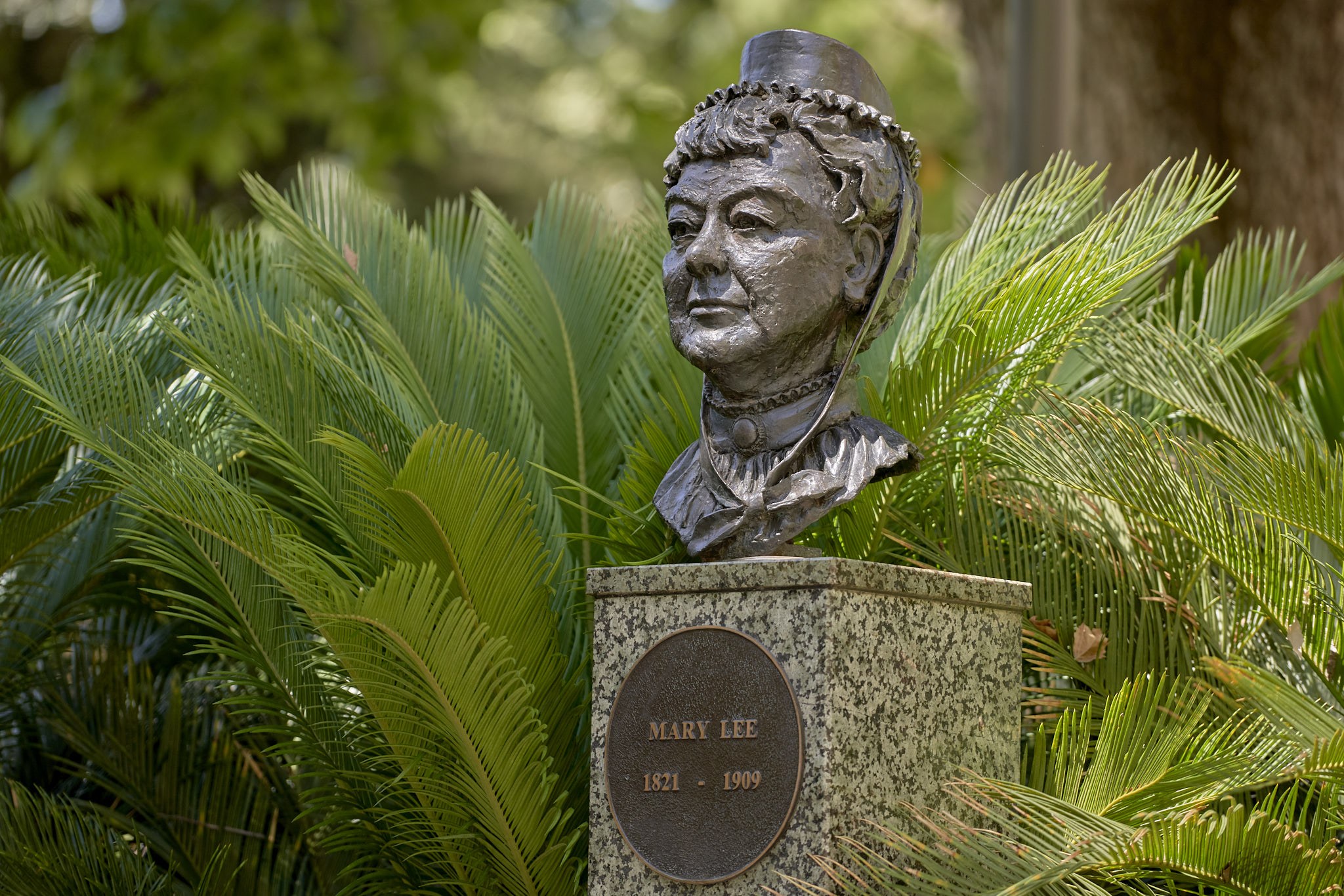 Mary Lee Art in Adelaide