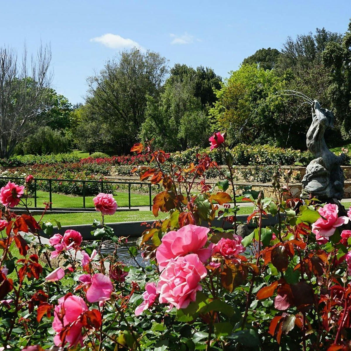 Veale park